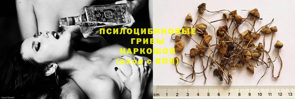 амф Абаза
