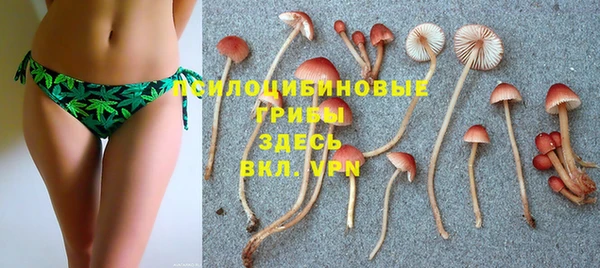 амф Абаза
