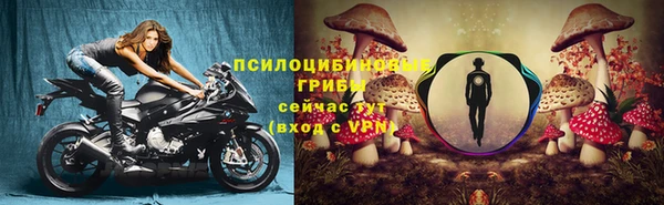 амф Абаза