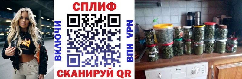 Конопля Ganja Новосиль